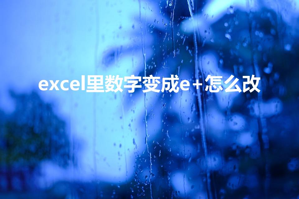 excel里数字变成e+怎么改