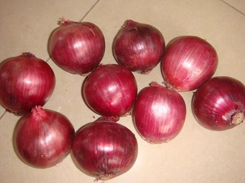 onion是什么意思（洋葱的含义和用途）
