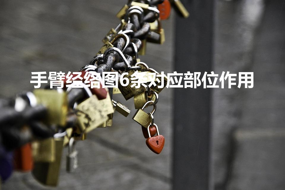 手臂经络图6条对应部位作用（手臂上都有哪些经络）