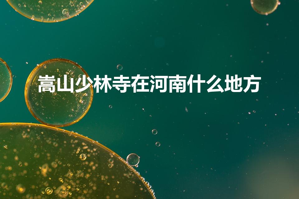 嵩山少林寺在河南什么地方（少林寺在河南什么地方）