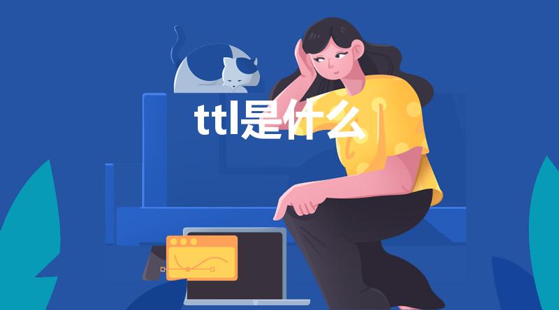 ttl是什么（ttl是什么意思啊）