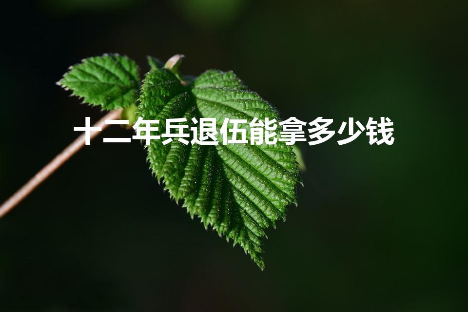 十二年兵退伍能拿多少钱（当兵12年退伍费60万是真的吗）