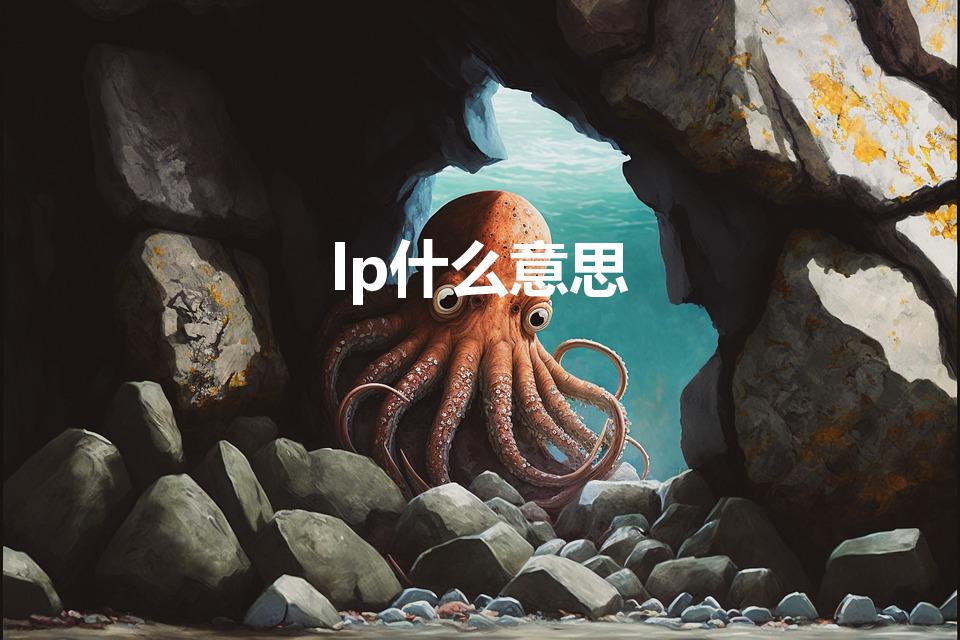lp什么意思（lp是什么意思）