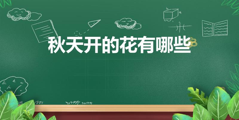 秋天开的花有哪些（秋天有什么花）