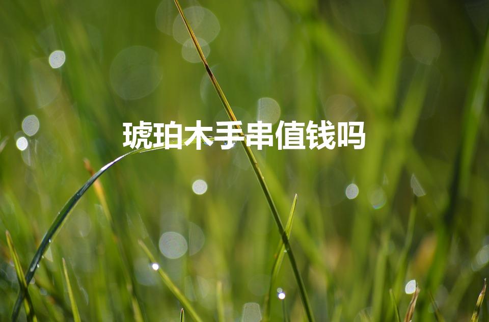 琥珀木手串值钱吗（琥珀木值钱吗）