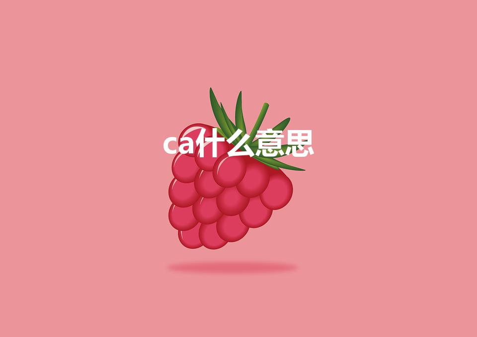 ca什么意思（ca代表什么意思 ca的解释）