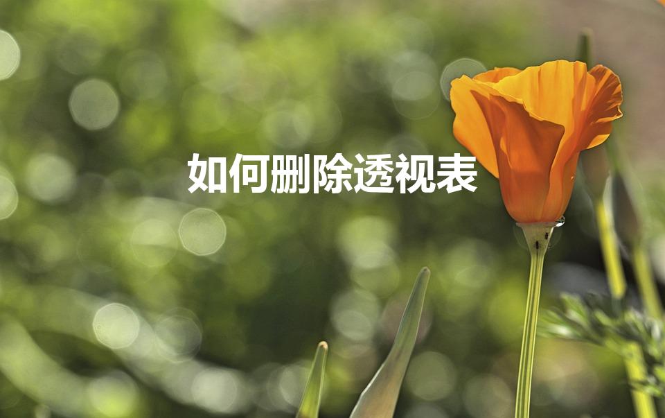 如何删除透视表（如何删除Excel数据透视表）
