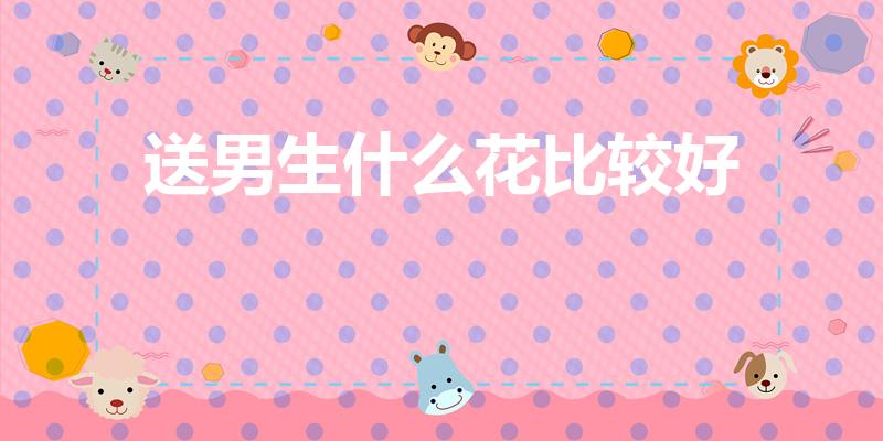 送男生什么花比较好（女生送男生什么花比较合适）
