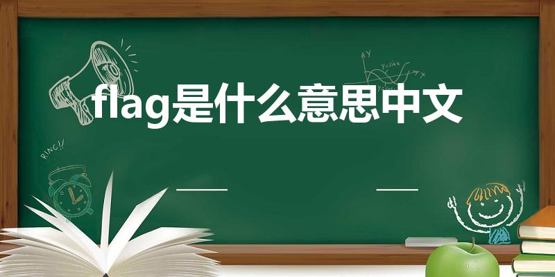 flag是什么意思中文（Flag是什么意思）