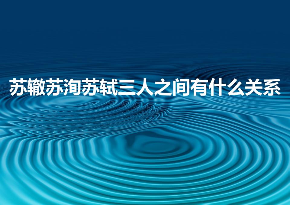 苏辙苏洵苏轼三人之间有什么关系（苏轼苏洵苏辙三人的关系）
