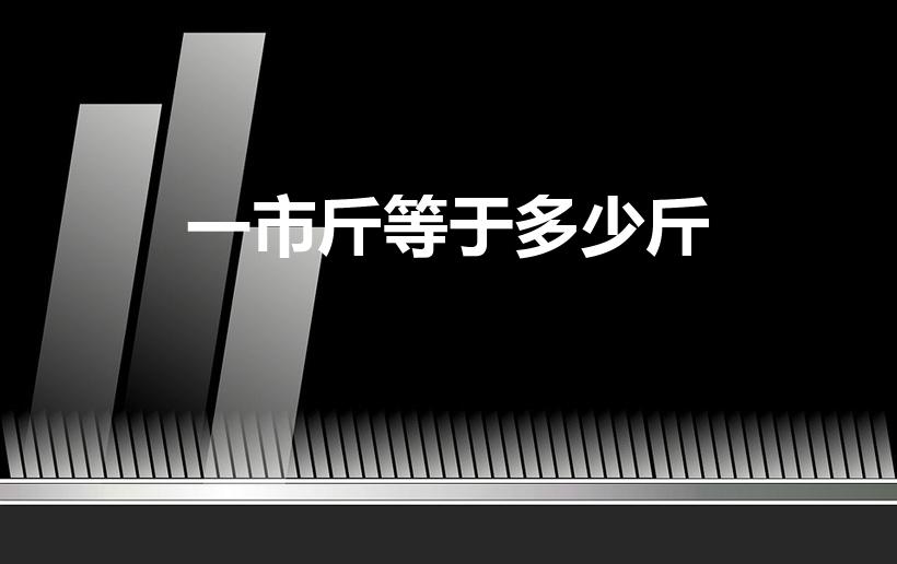 一市斤等于多少斤（一市斤是多少斤）