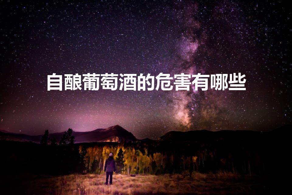 自酿葡萄酒的危害有哪些（喝自己酿的葡萄酒有什么坏处）