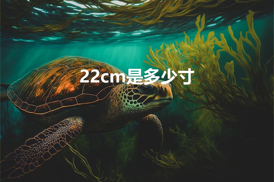 22cm是多少寸（22厘米是几寸）
