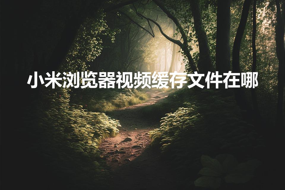 小米浏览器视频缓存文件在哪
