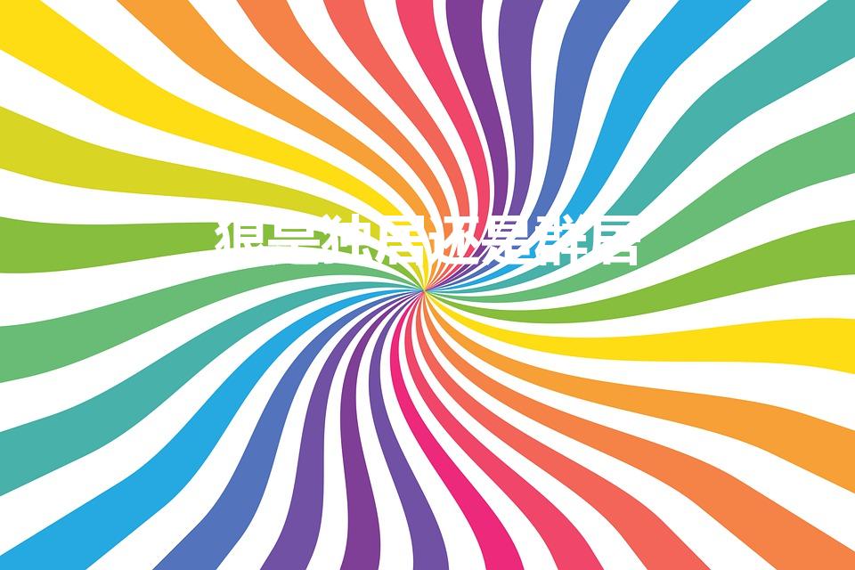 狼是独居还是群居