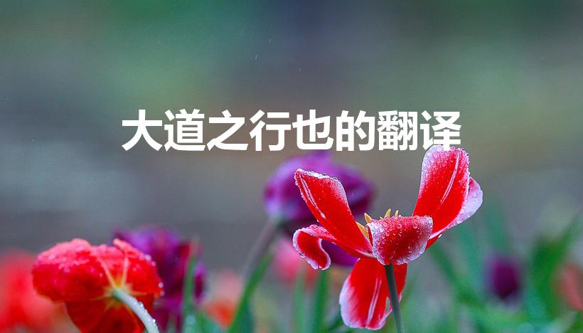 大道之行也的翻译（大道之行也的原文及翻译）