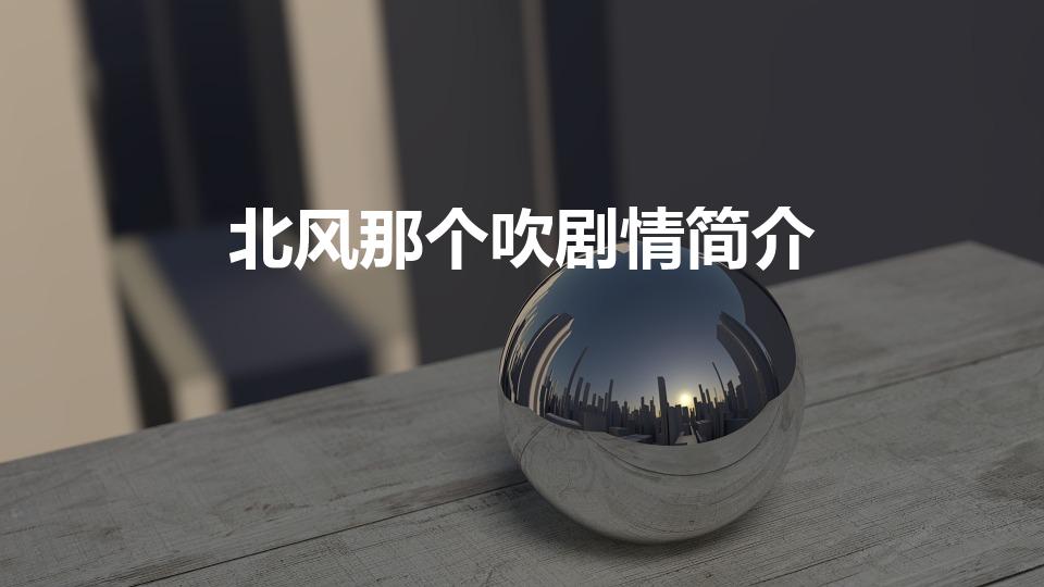 北风那个吹剧情简介（北风那个吹电视剧全集剧情介绍）
