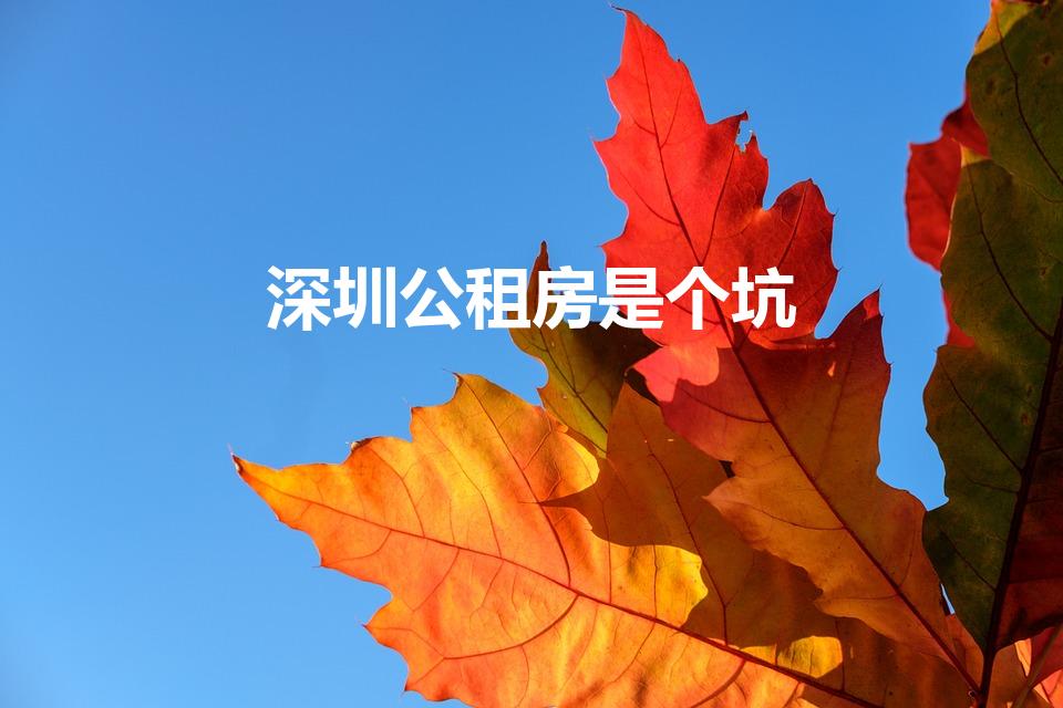 深圳公租房是个坑（深圳公租房是个笑话吗）