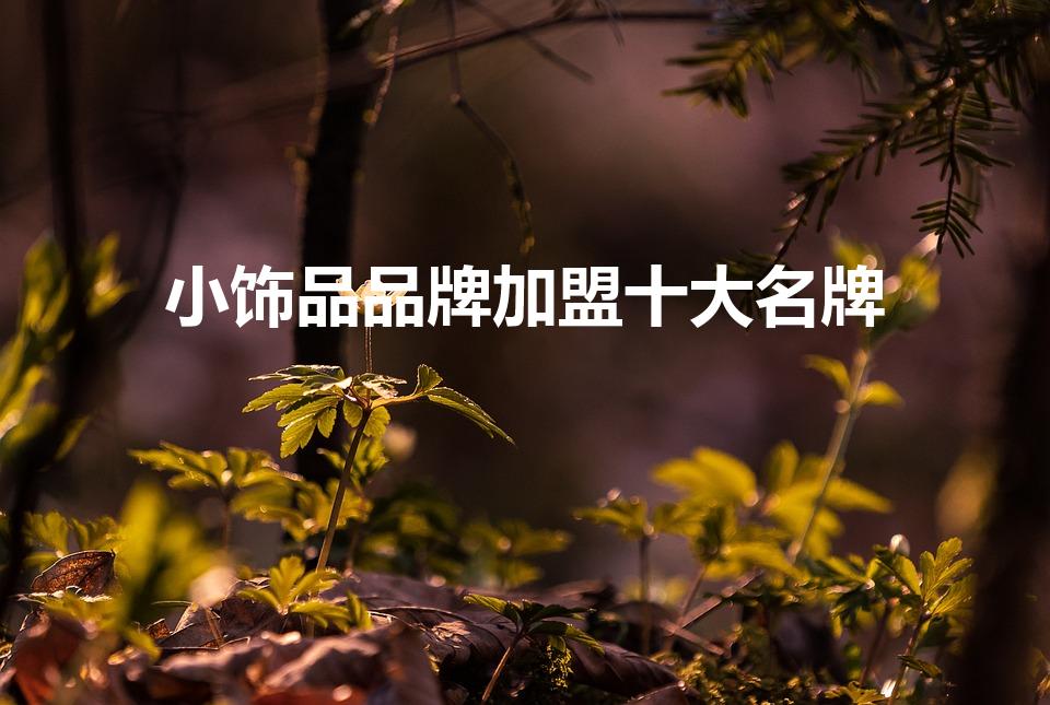 小饰品品牌加盟十大名牌（中国十大饰品连锁是哪些）