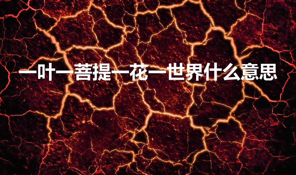 一叶一菩提一花一世界什么意思（表达的是什么）