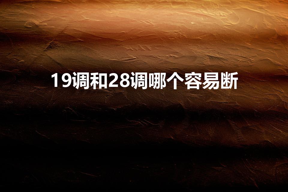 19调和28调哪个容易断（钓鱼竿19调和28调哪个好）