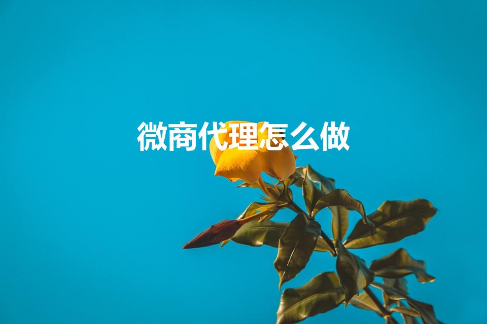 微商代理怎么做（怎么做微商代理）