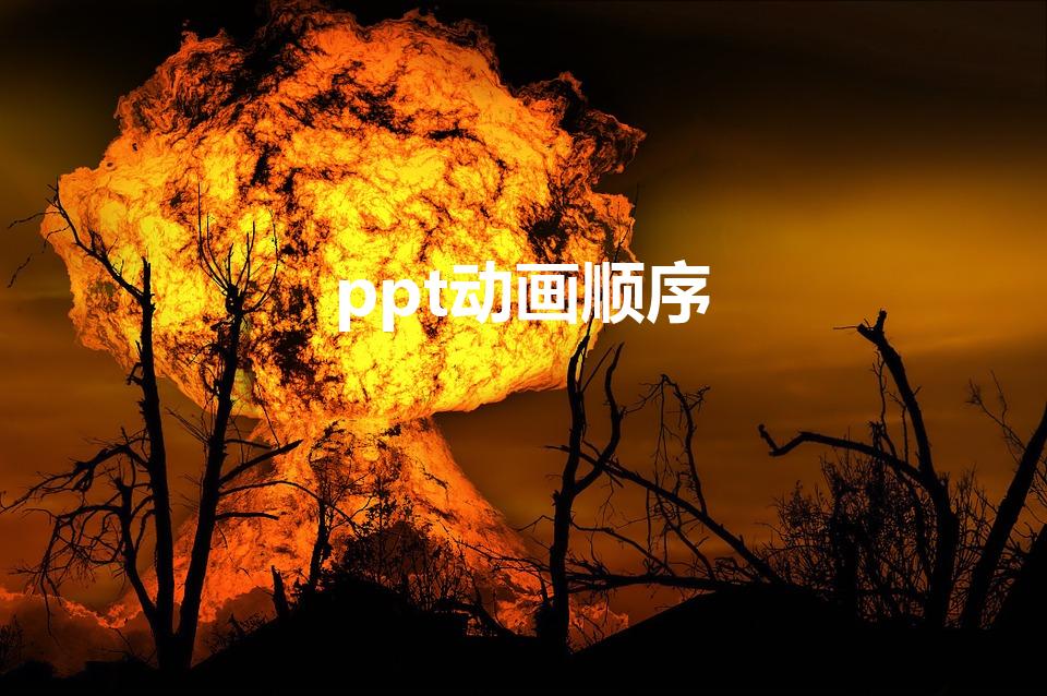 ppt动画顺序（ppt中动画顺序怎么设置）