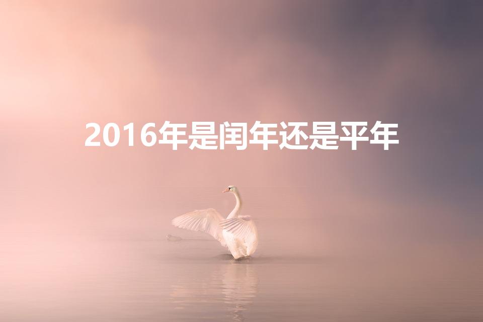 2016年是闰年还是平年（2016年是什么年）