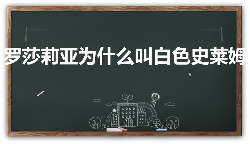 罗莎莉亚为什么叫白色史莱姆（史莱姆是指胸吗）
