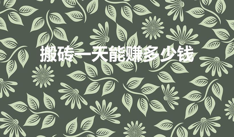 搬砖一天能赚多少钱（dnf搬砖一天多少人民币）