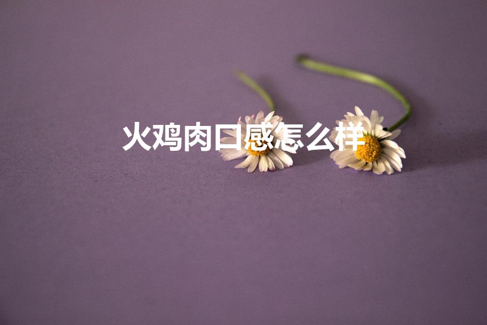 火鸡肉口感怎么样（火鸡肉和普通鸡肉口感一样吗）
