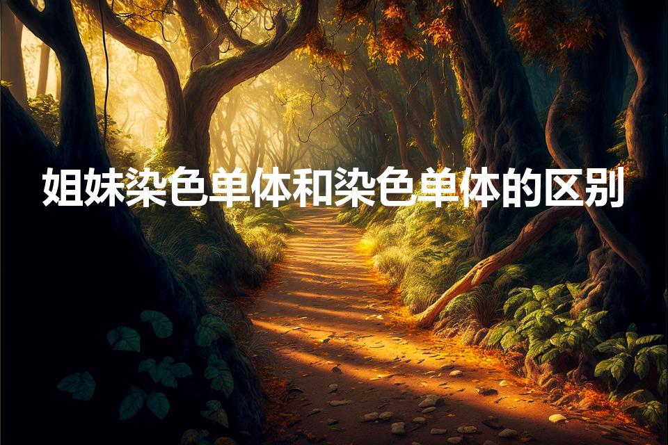 姐妹染色单体和染色单体的区别