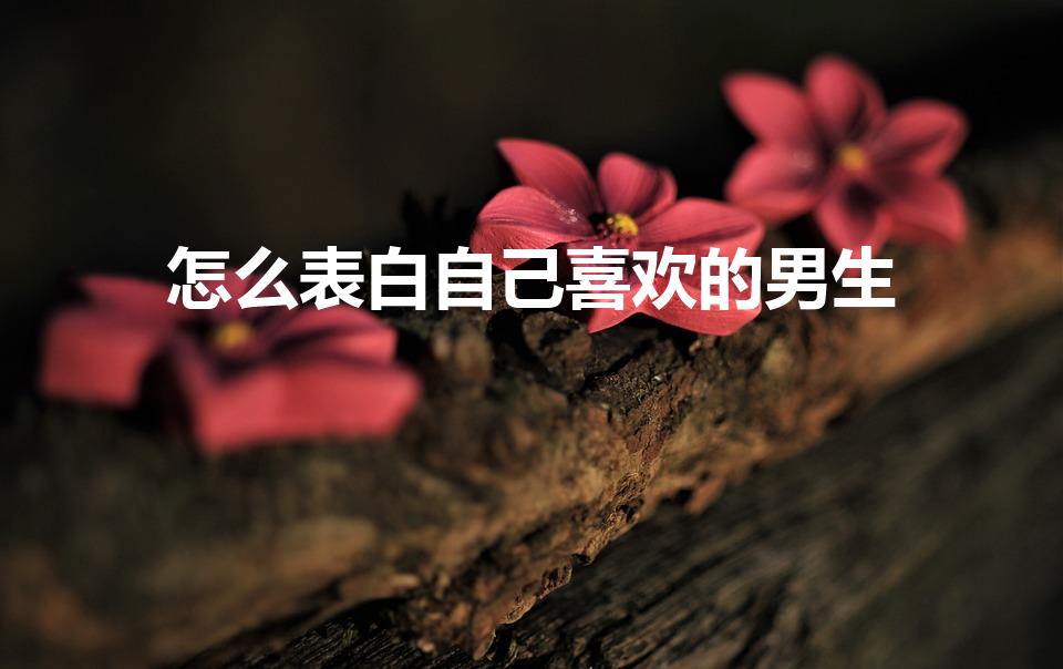 怎么表白自己喜欢的男生（如何和喜欢的男孩子表白）
