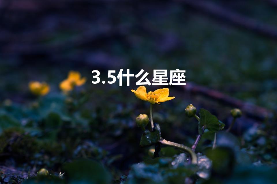 3.5什么星座（3月5日是什么星座）