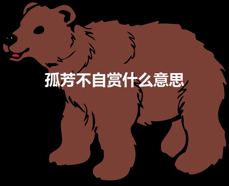 孤芳不自赏什么意思