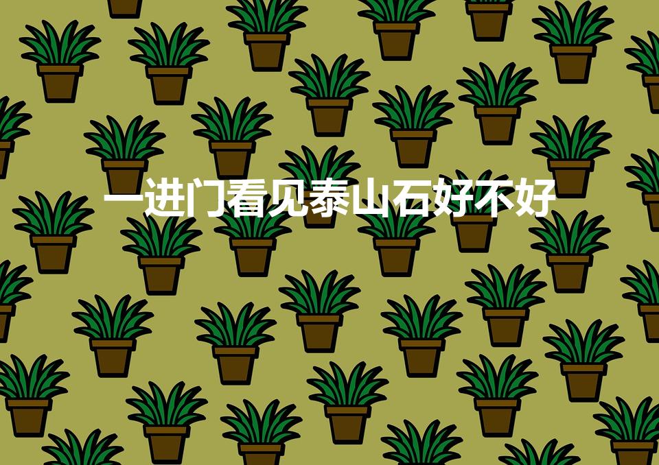 一进门看见泰山石好不好（进门看见泰山石好吗）