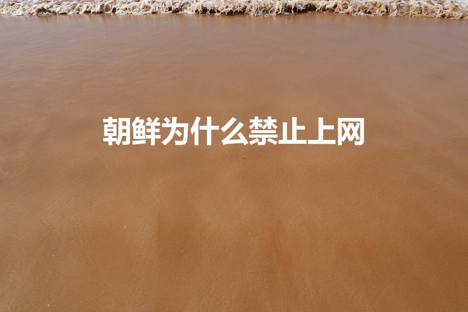 朝鲜为什么禁止上网（为什么朝鲜人民不可以上网和用手机）
