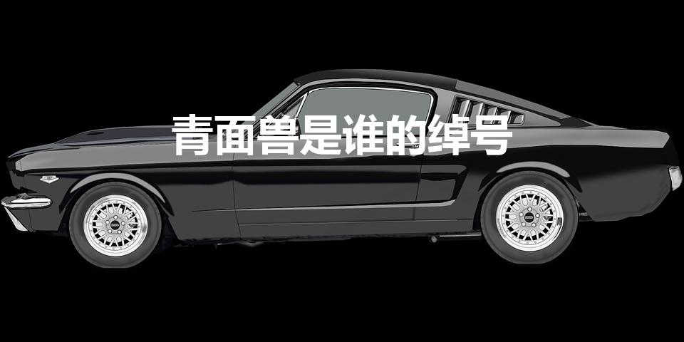 青面兽是谁的绰号（杨志绰号是什么）