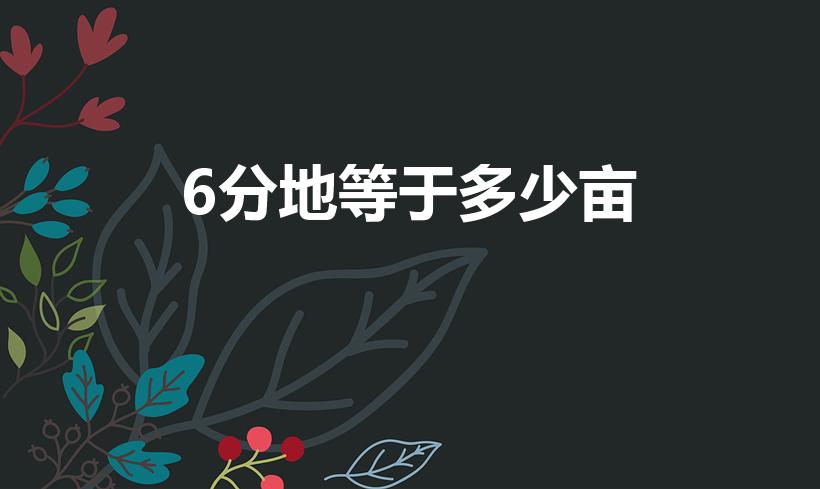 6分地等于多少亩（6分面积等于多少万亩）
