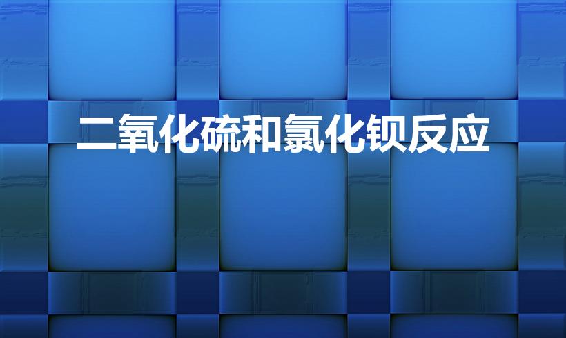 二氧化硫和氯化钡反应（二氧化硫与氯化钡反应的化学方程式）