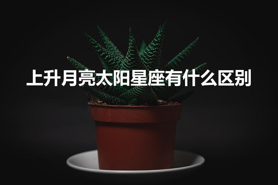 上升月亮太阳星座有什么区别（太阳月亮上升星座有什么区别）