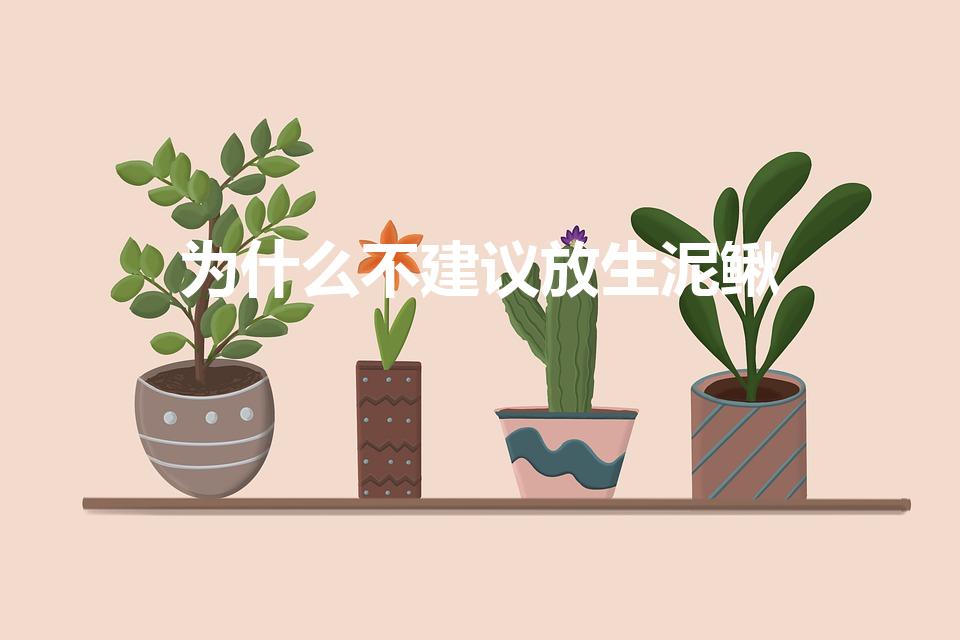 为什么不建议放生泥鳅（养殖的泥鳅能放生吗）