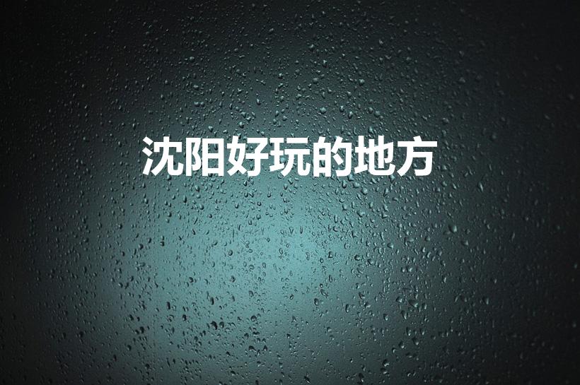 沈阳好玩的地方（沈阳有什么好玩的地方）