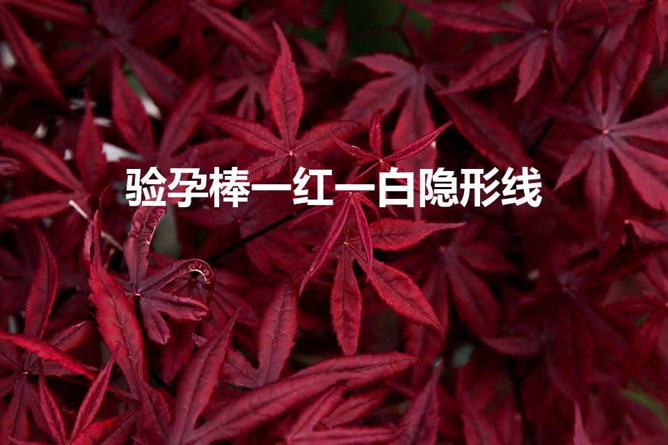 验孕棒一红一白隐形线（验孕棒一条红色一条白色是无效吗）