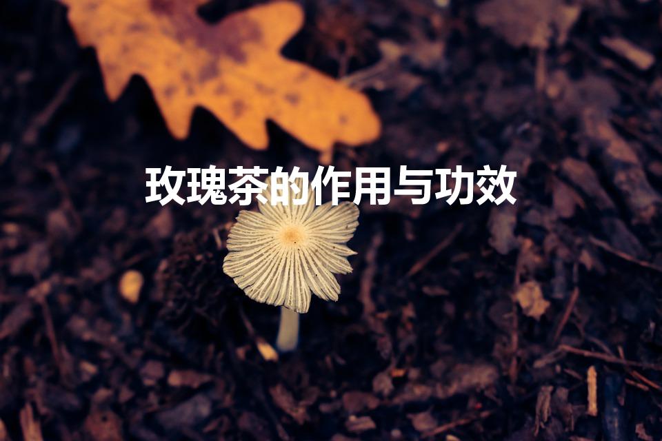玫瑰茶的作用与功效（玫瑰花茶功效和作用）