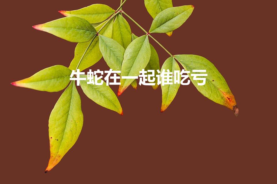 牛蛇在一起谁吃亏（为什么牛蛇婚配穷一辈,牛和蛇为什么和）