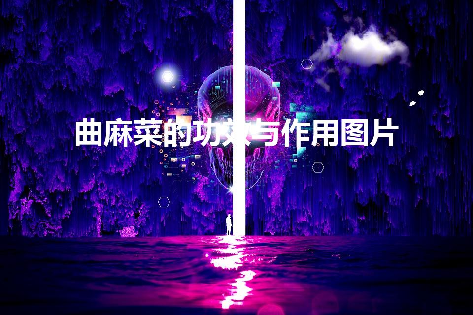 曲麻菜的功效与作用图片（曲麻菜的功效与作用）