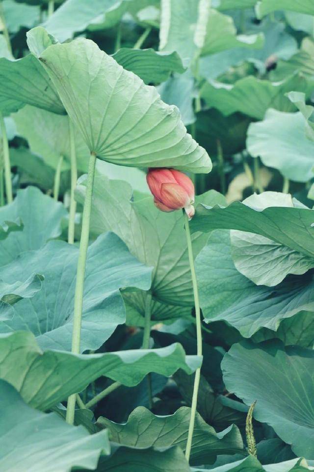 c57e050e8a7e4998a3db69c8b7aa1f03noop.image_ c57e050e8a7e4998a3db69c8b7aa1f03noop.image_