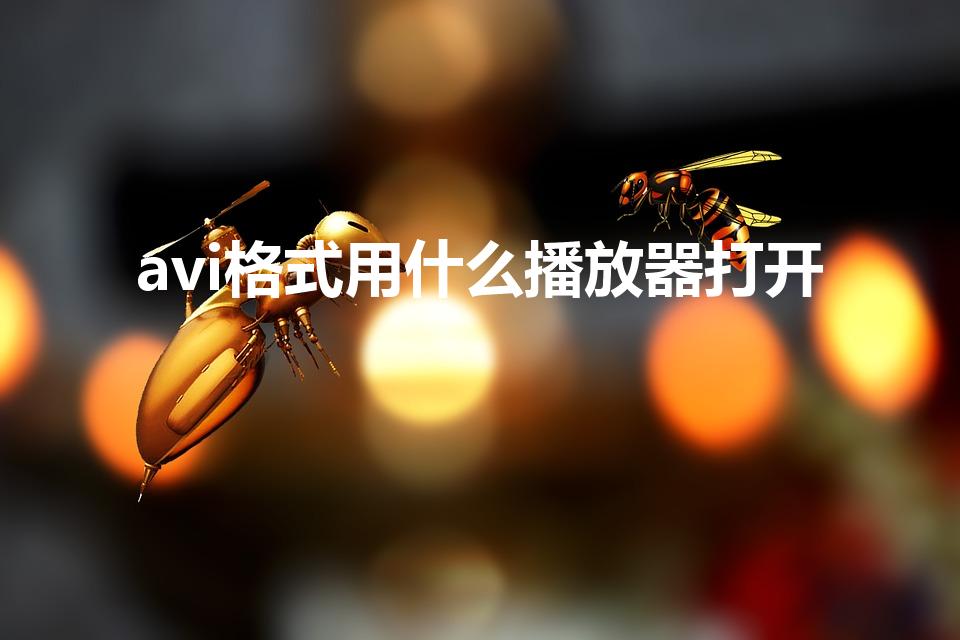 avi格式用什么播放器打开