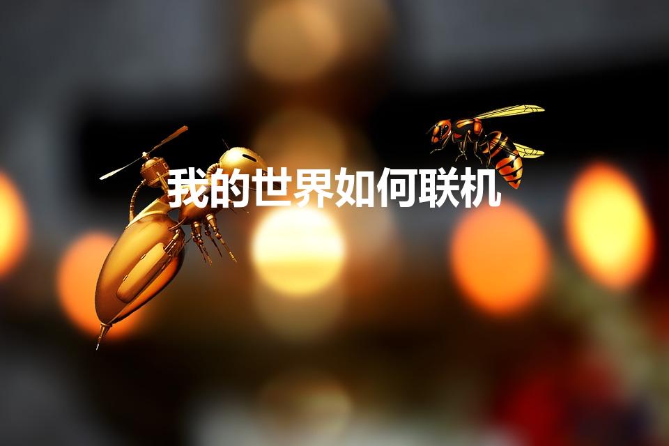 我的世界如何联机（我的世界怎么联机啊!）
